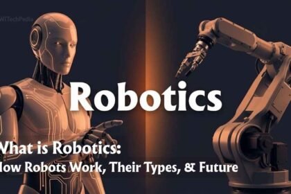A sleek humanoid robot and an industrial robotic arm side by side, illustrating modern robotics technology