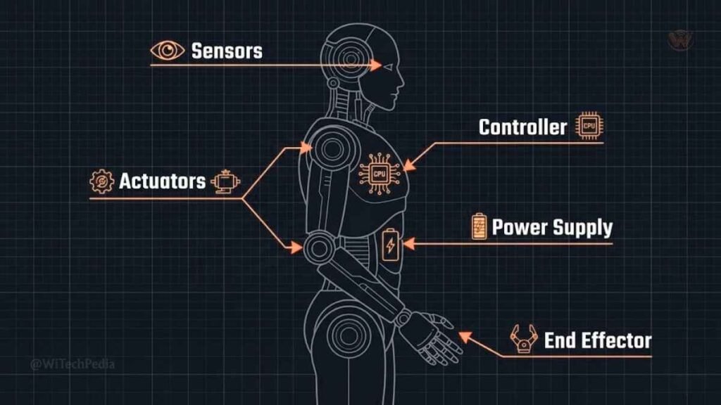Visual guide showing six types of robots: industrial, service, cobot, mobile, humanoid, and medical robotics
