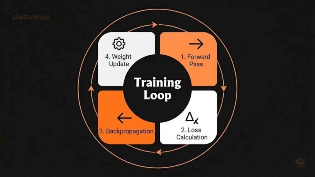 Circular infographic showing the 4-step deep learning training loop: forward pass, loss calculation, backpropagation, and weight update